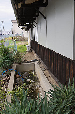 桜井線・櫟本駅、駅舎が載る石垣の上には枯れた池がある