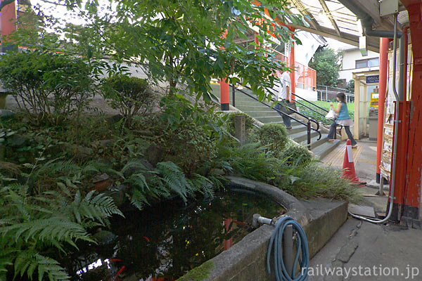 JR奈良線・稲荷駅、ホームと駅舎の間の階段横にある池庭