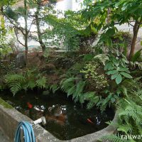 JR奈良線・稲荷駅、緑豊かで鯉も泳ぐ池庭跡
