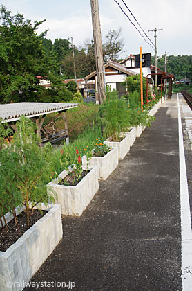 JR木次線・出雲八代駅、ホームの花壇