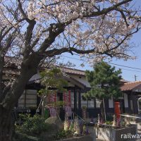 JR山陰本線・御来屋駅、山陰最古の駅舎と桜の老木