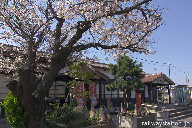 JR山陰本線・御来屋駅、山陰最古の駅舎と桜の老木