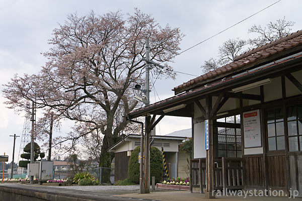 因美線・美作滝尾駅、木造駅舎と満開前の桜