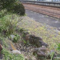 関西本線・佐那具駅、上りホームの枯池と信楽焼のたぬき