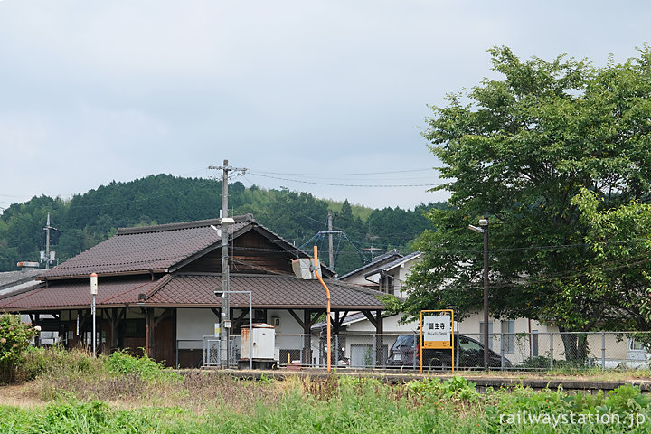 津山線・誕生寺駅ホームと木造駅舎、大きな桜の木
