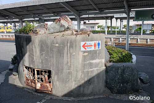 JR宇部線・宇部新川駅、白鳥のいる池の裏側