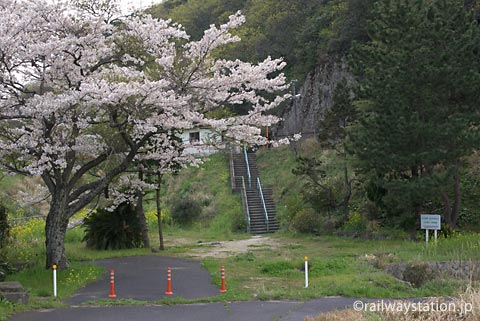 山陰本線・湯里駅、旧駅舎跡地に虚しく咲く桜