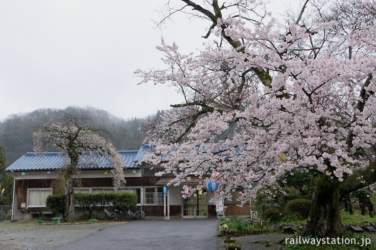 三江線の春、桜満開の川平駅