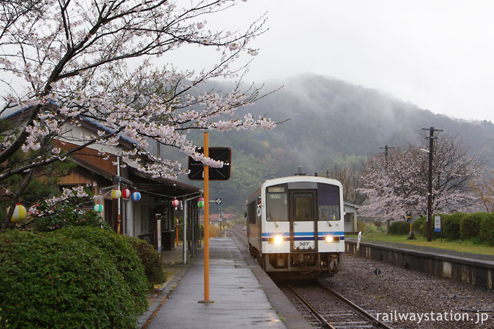 春、桜咲く川平駅に到着した三江線色のキハ120形気動車