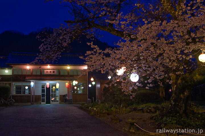 三江線川平駅、夜桜と木造駅舎を独占