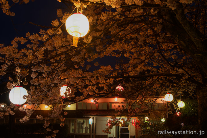 三江線、桜満開の川平駅、提灯が吊るされ夜祭のよう…