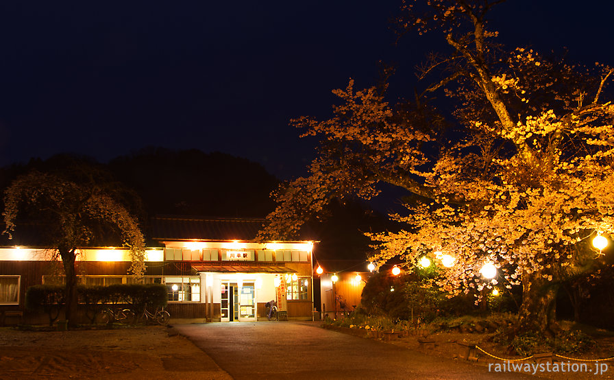 三江線・夜深まる川平駅、満開の桜と木造駅舎