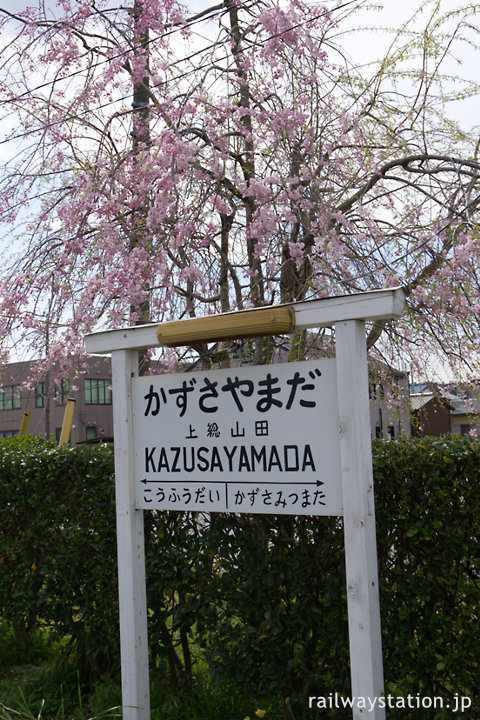 小湊鉄道・上総山田駅、レトロな駅名標と枝垂桜