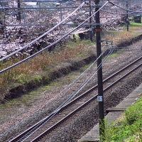 新垂井駅跡 (東海道本線・新垂井線)～廃駅花見～