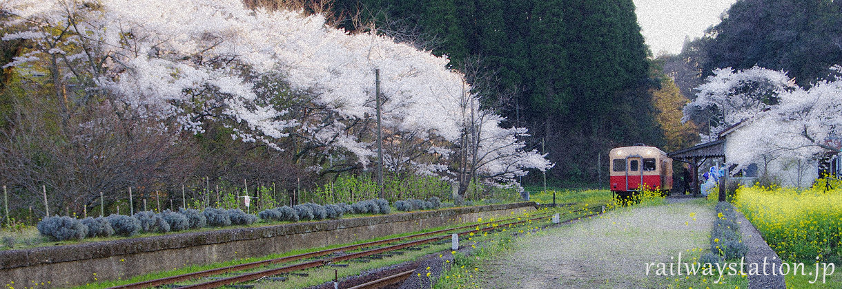 小湊鉄道の駅を巡る旅、イメージ(春、桜咲く月崎駅)