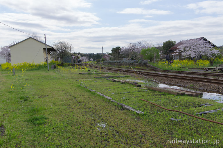 小湊鉄道・上総鶴舞駅、広大な側線跡