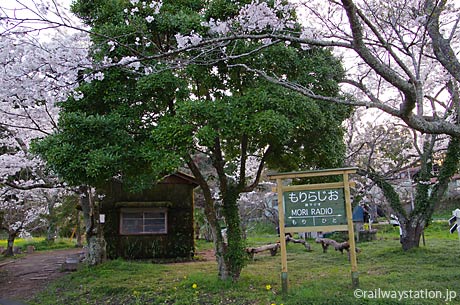 小湊鉄道、桜満開の月崎駅構内「もりらじお」の駅名標