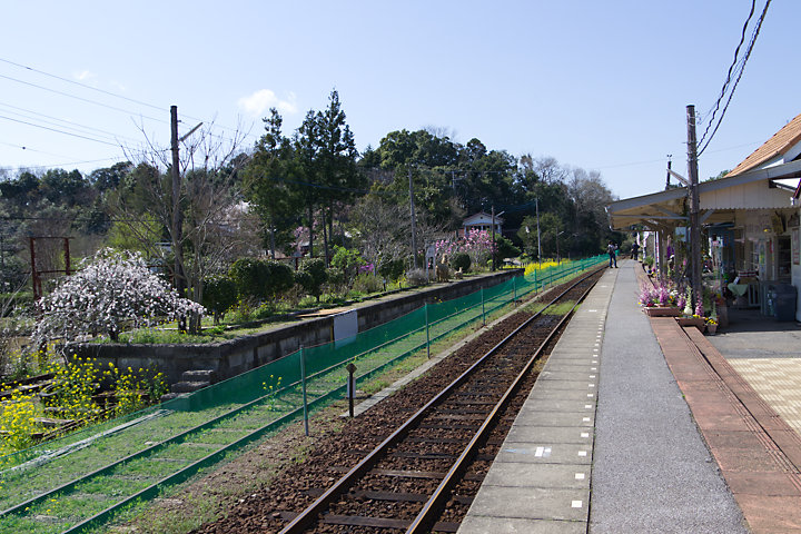 小湊鐡道・養老渓谷駅、廃止された島式ホーム