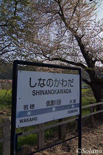 長野電鉄・屋代線・信濃川田駅、満開の桜と駅名標
