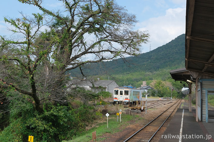 長良川鉄道・美濃市駅、桜の老木と側線の廃車体