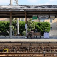 南海電鉄本線・浜寺公園駅、歴史感じる石積みのプラットホーム