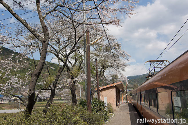 大井川鉄道・青部駅に入線した元近鉄の特急車16000系