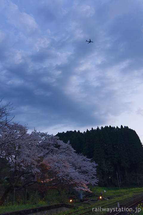 小湊鉄道、夜の帳が下りる月崎駅、桜と上空の飛行機