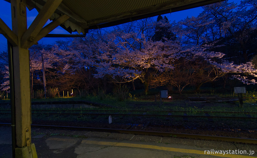 夜桜美しい小湊鉄道の月崎駅