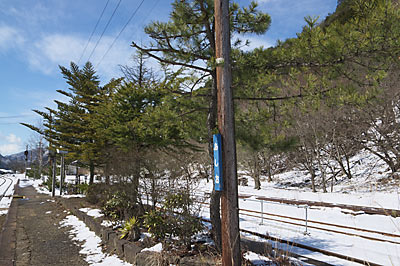 わたらせ渓谷鉄道、松並木が印象的な足尾駅ホーム