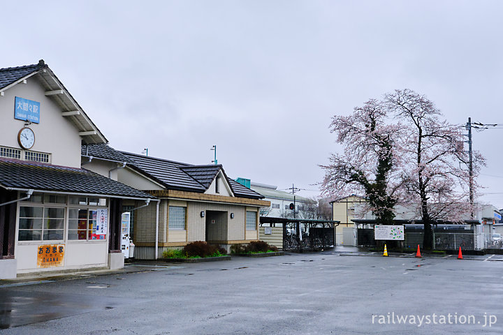 わたらせ渓谷鐡道・大間々駅、駅前敷地内に咲く桜